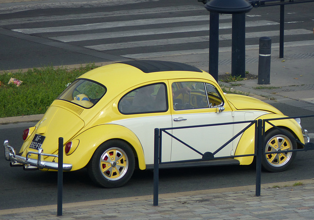 Bordeaux Beetle - 28 September 2014