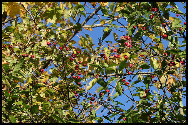 rencontre au sommet rencontre au sommet