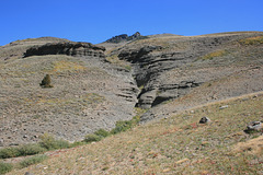 IMG_7520