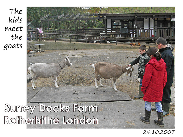 Kids meet goats at Surrey Docks Farm - 24.10.2007