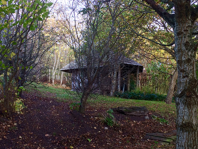 Autumn garden