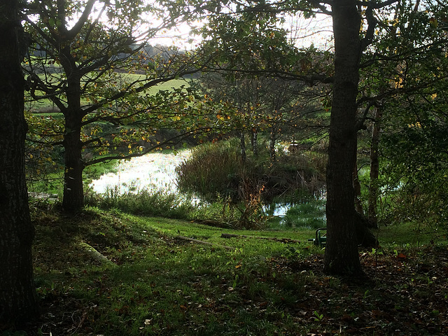 Autumn garden
