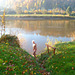 Morgenbad in der Elbe - matena bano en la Elbe