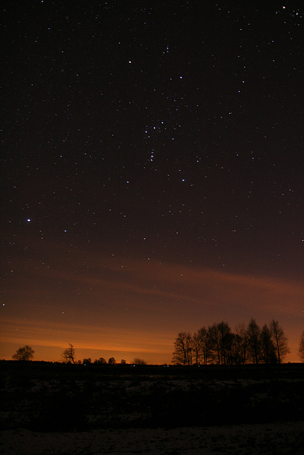 Orion in het Bargerveen (view on black)