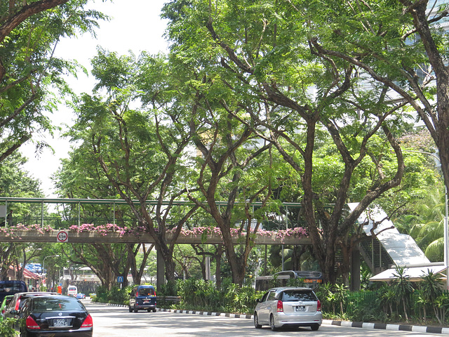 Les passages piétons à Singapour