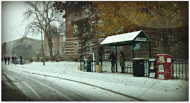 Early arrival of Winter