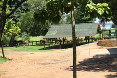 Uda Walawe Elephant Transit Home