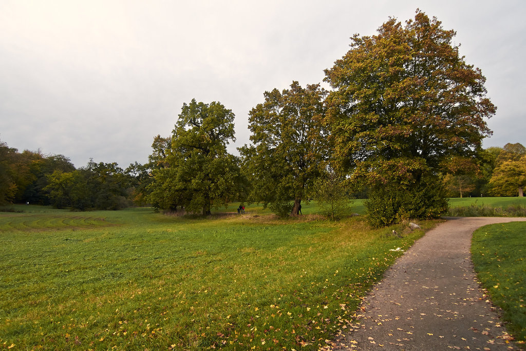 parkweg-1200087-co-26-10-14