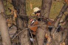 Pickin in the Park - Banjo