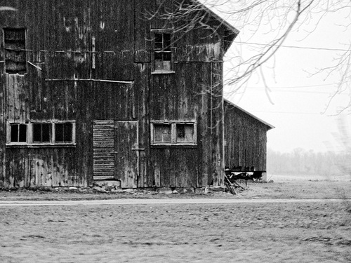 This Ol' Barn