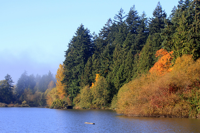 Lost Lagoon