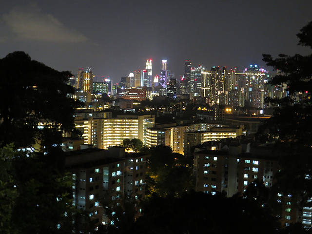 Mont Faber : la skyline de Singapour vue de nuit.