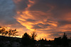 Lenticulars at sunset