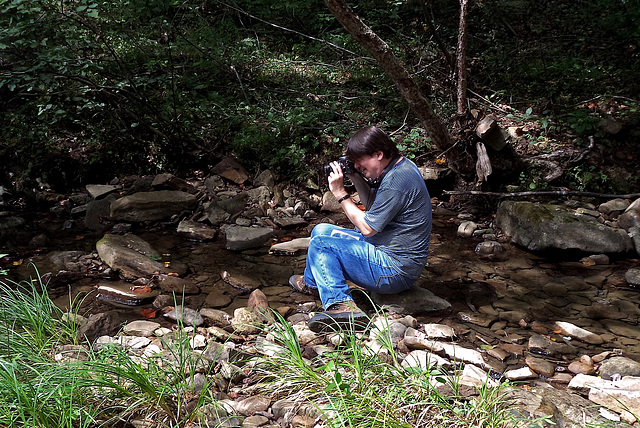 Getting The Shot