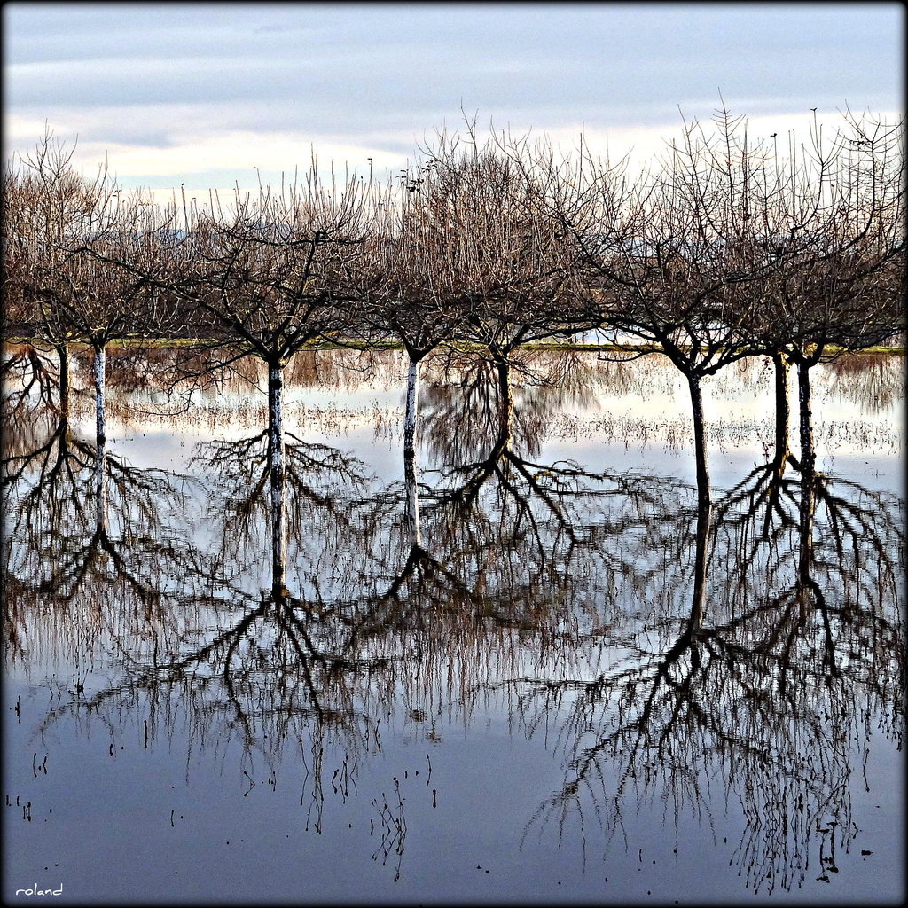 Miroir aux reflets insolites