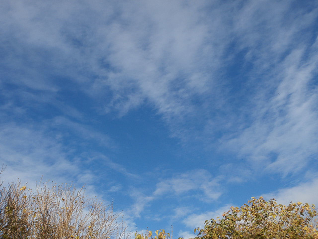 Wispy clouds