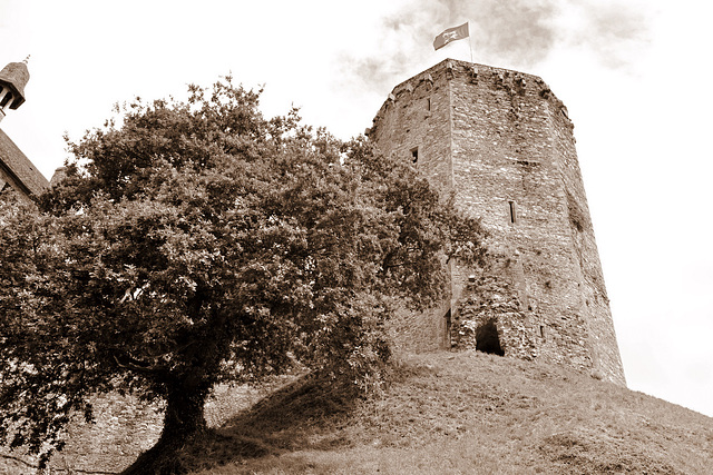 Donjon du château de Bricquebec - Manche