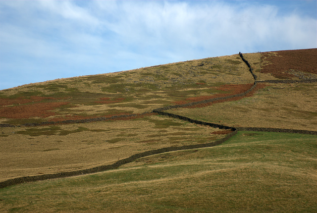 The walls at Yellow Slacks