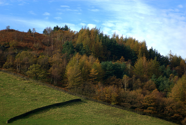 Shire Hill Autumn colous