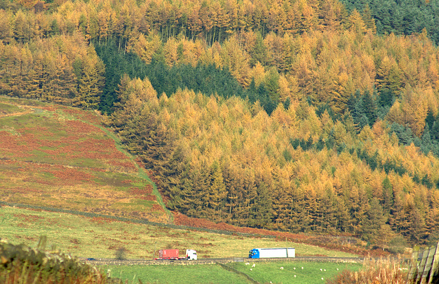 A 'Head-on Crash' with super saturated Autumn colours in Longdendale