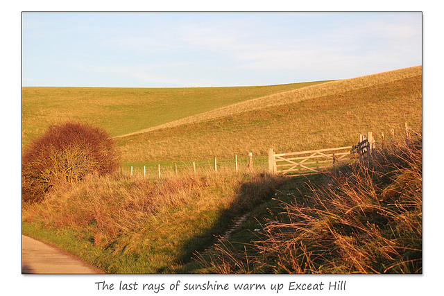 Afternoon sun on Exceat Hill  - Cuckmere - 24.11.2014