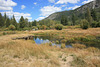 Upper Truckee River