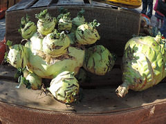 Riesenkohlrabi - Fisheye