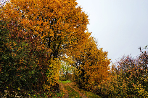 November, und der Herbst hat noch kein Ende - November, and Autumn Continues