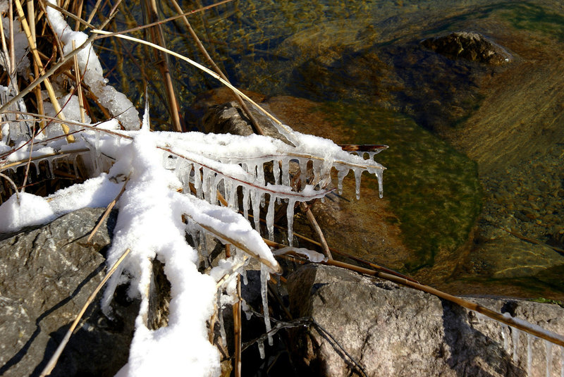 Die Krallen des Winters. ©UdoSm