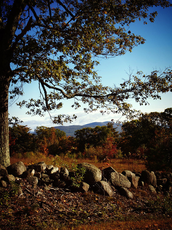 up on Walker Hill