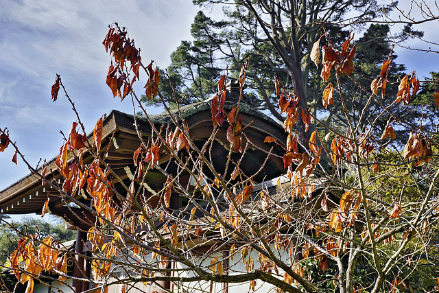 The South Gate – Japanese Tea Garden, Golden Gate Park, San Francisco, California