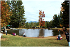 Apple Hill Pond