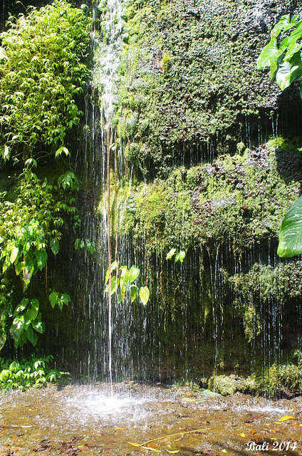 68 A Small Waterfall By The Trail