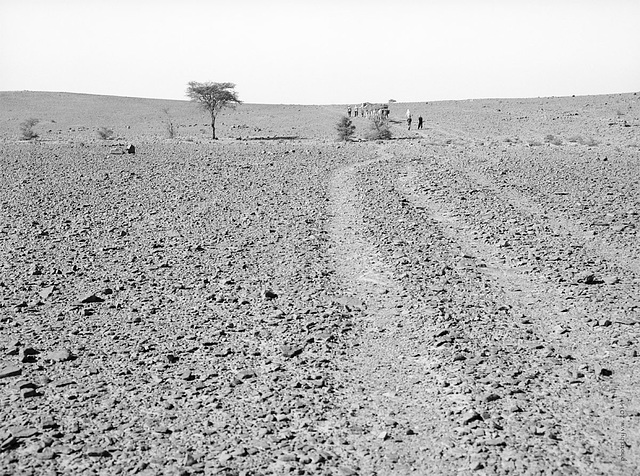 stone desert, Souss-Massa-Draâ, Marokko