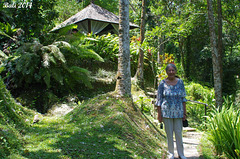 80 Hotel Picnic Area Near River