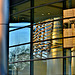 Reflections of University buildings