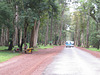 Dans Angkor Thom : en route vers Bayon.