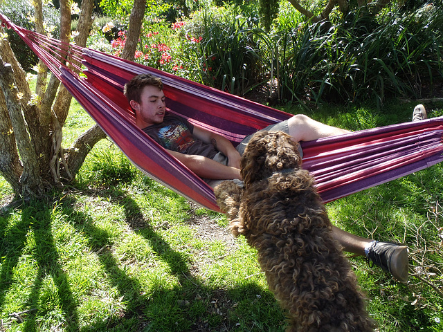 Derek & Coco in the hammock