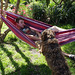 Derek & Coco in the hammock