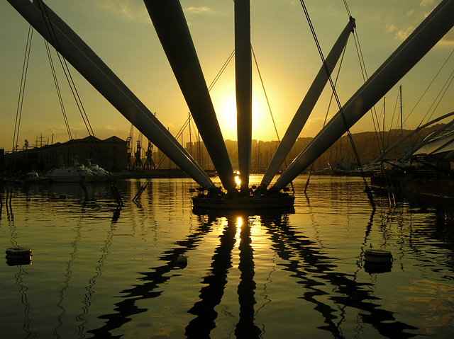 Bigo al tramonto - Genova