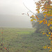 Herbstnebel