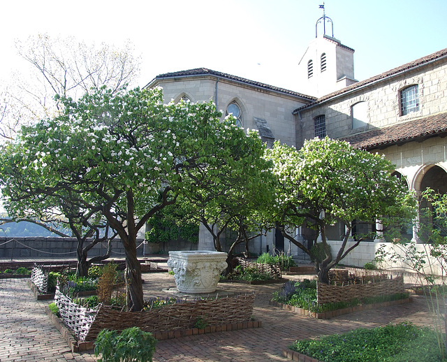 Garden in the Cloisters, April 2012