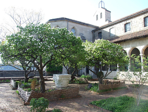 Garden in the Cloisters, April 2012