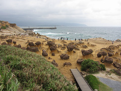 野柳風景特定區