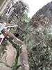 Bayon : balustrade de la première terrasse.