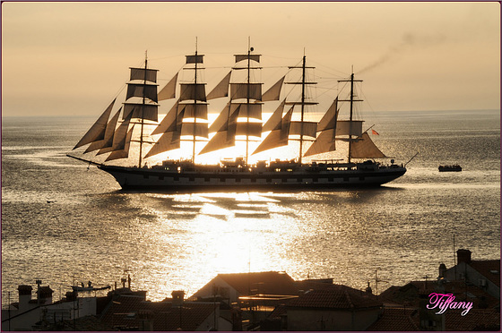 ROYAL CLIPPER