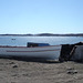 Barque inuit / Inuit rowboat.