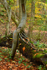 Taking root and re-cycling!