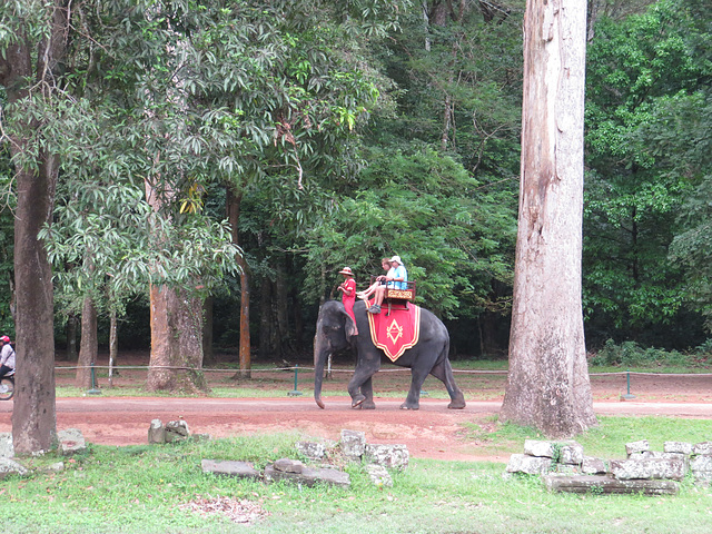 Bayon, site touristique.