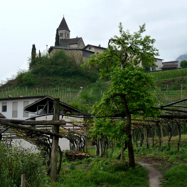 Kastelaz über Tramin , Südtirol